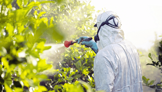 Pesticidas y fertilizantes 